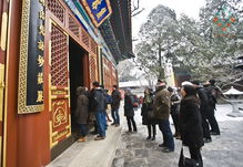 新聞詳情 行業(yè)資訊 古建建筑裝飾專(zhuān)業(yè)委員會(huì)