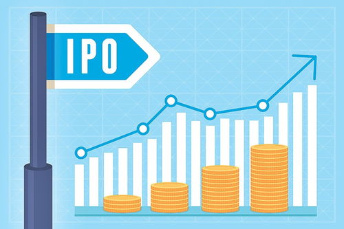 CHM八面玲瓏引領(lǐng)IPO芝麻開花，網(wǎng)絡(luò)與信息安全軟件開發(fā)前景廣闊